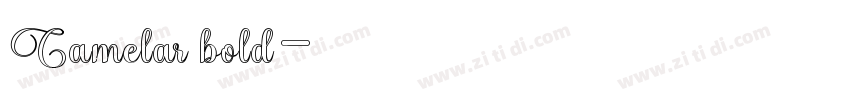 Camelar bold字体转换